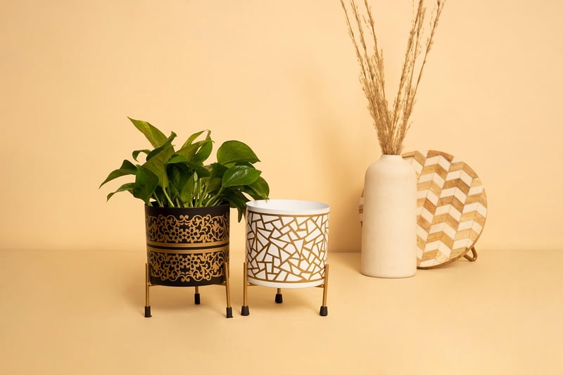 Dragon Planter Projects