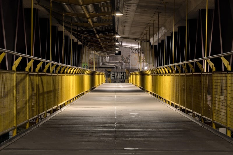 Moonlit Walkways