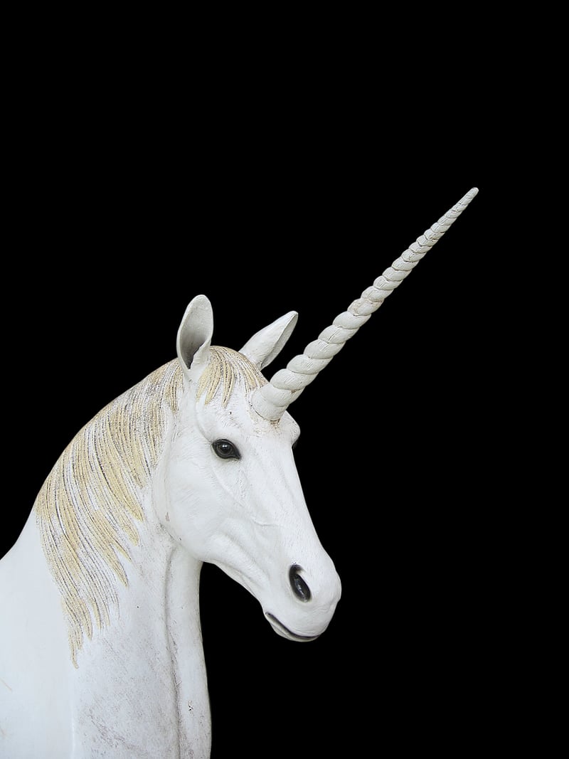 Unicorn Bird Feeder